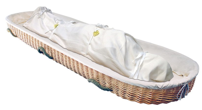 Combo Willow Carrier